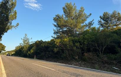 Urla Nohutalan'da Yol Cepheli Satılık Tarla 
