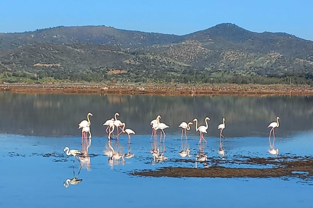 Bodrum, Adabükü, Boğaziçi'nde Denize 100m Satılık Villa Arsası