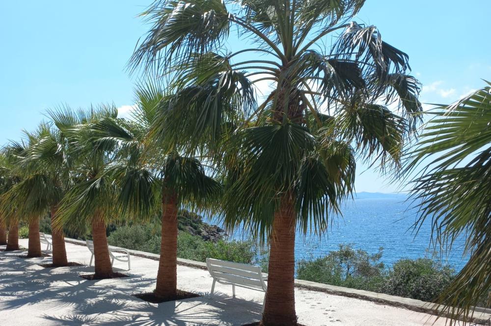 Bodrum, Adabükü, Boğaziçi'nde Denize 100m Satılık Villa Arsası