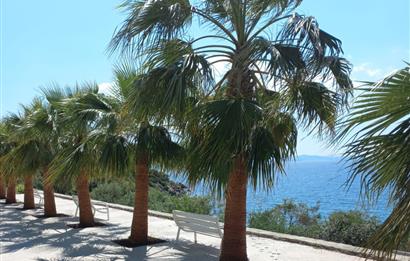 Bodrum, Adabükü, Boğaziçi'nde Denize 100m Satılık Villa Arsası