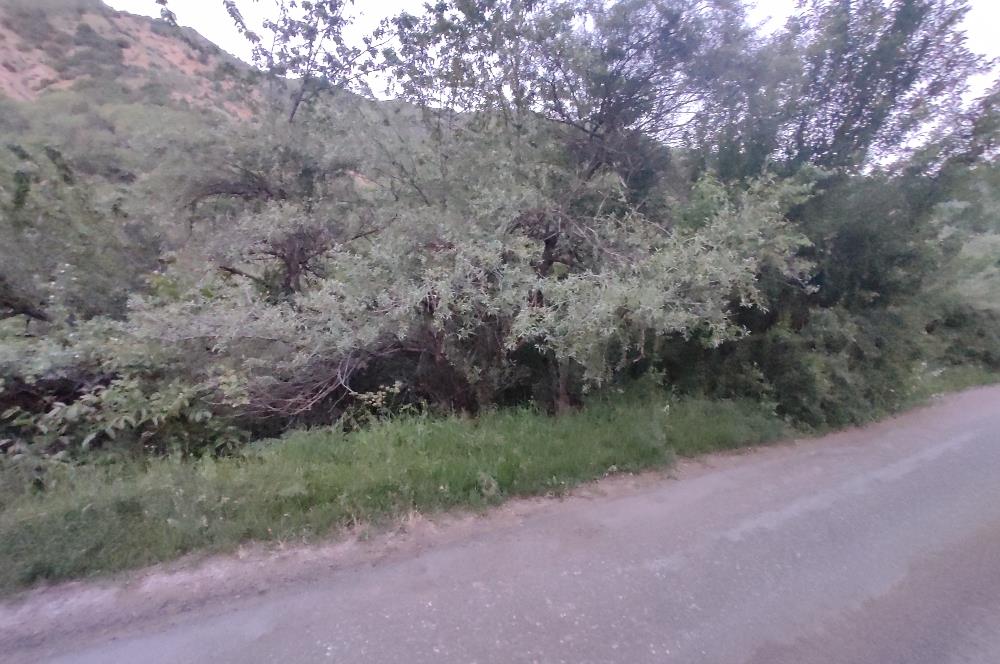 GÜMÜŞHANE MERKEZE 5 KM UZAKLIKTA AKARSU BULUNAN DOĞA İÇİNDE ARSA