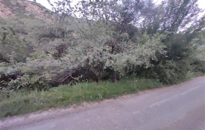 GÜMÜŞHANE MERKEZE 5 KM UZAKLIKTA AKARSU BULUNAN DOĞA İÇİNDE ARSA