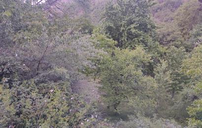 GÜMÜŞHANE MERKEZE 5 KM UZAKLIKTA AKARSU BULUNAN DOĞA İÇİNDE ARSA