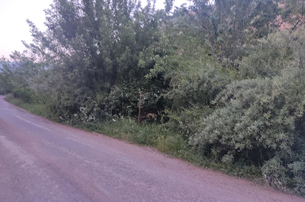 GÜMÜŞHANE MERKEZE 5 KM UZAKLIKTA AKARSU BULUNAN DOĞA İÇİNDE ARSA