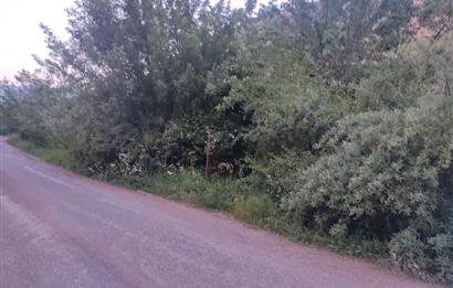 GÜMÜŞHANE MERKEZE 5 KM UZAKLIKTA AKARSU BULUNAN DOĞA İÇİNDE ARSA