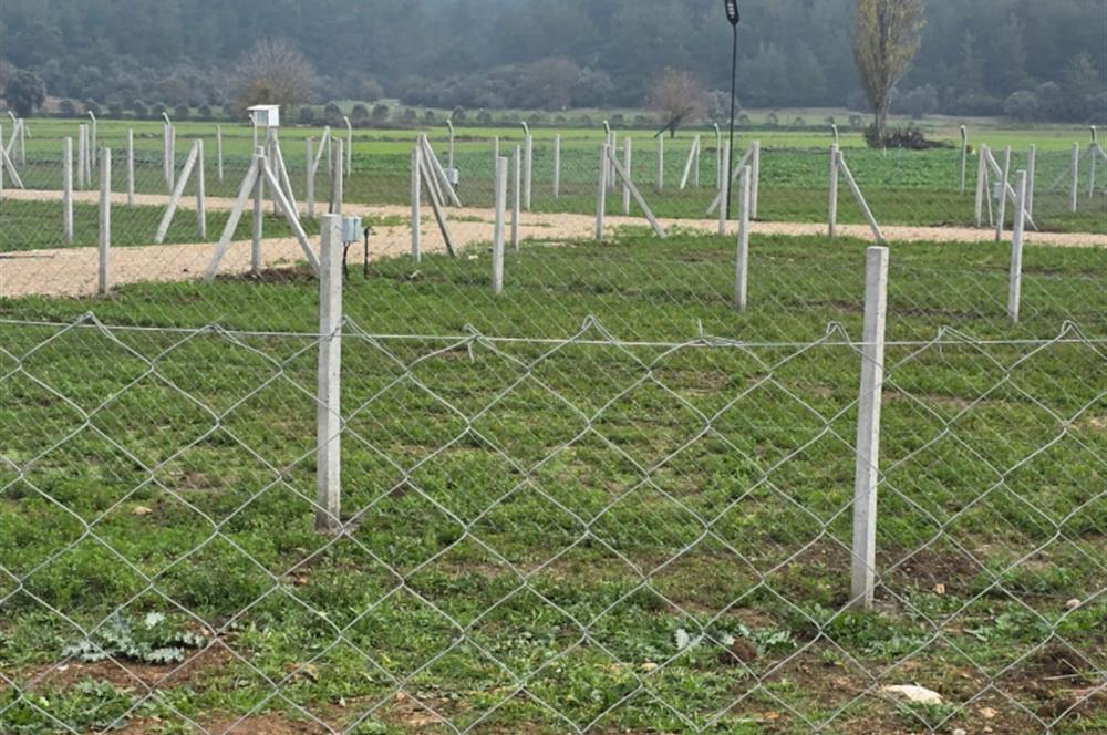 1319707237 Menderes Çakaltepe'de Satılık Hobi Bahçesi