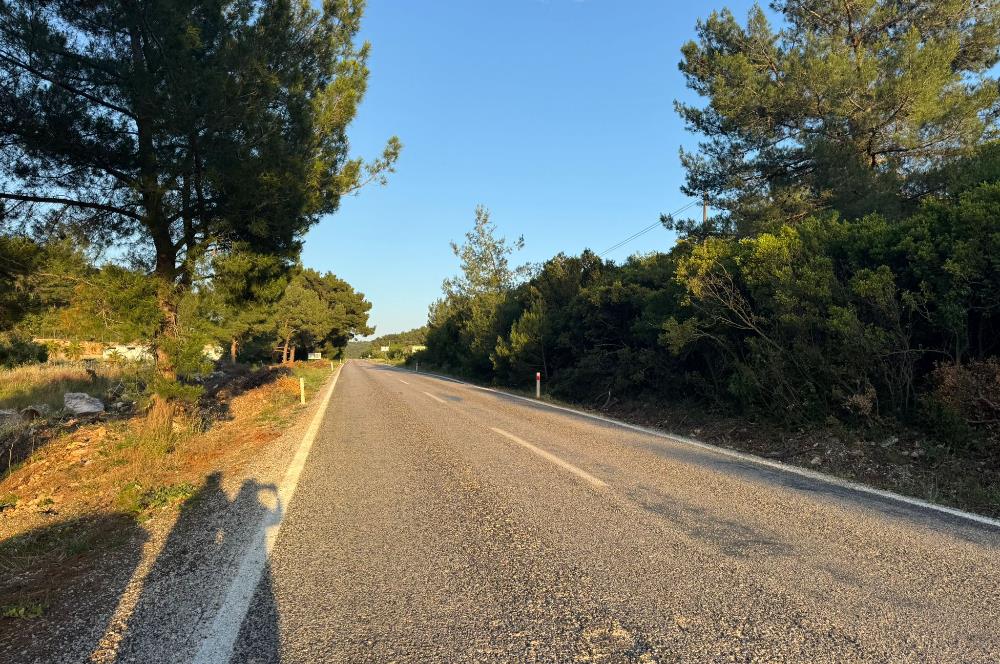 Urla Nohutalan'da Yol Cepheli Satılık Tarla 