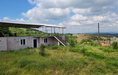 CENTURY 21 BAL'DAN ALTIEYLÜL BOZEN'DE SATILIK EV VE ARSASI
