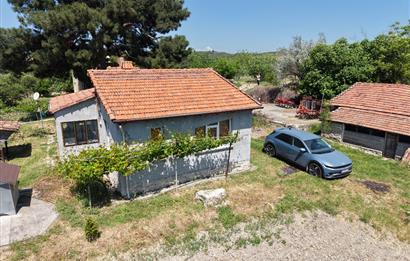 CENTURY 21 BAL'DAN SOMA MANİSADA SATILIK ZEYTİNLİK , MEYVE BAHÇESİ