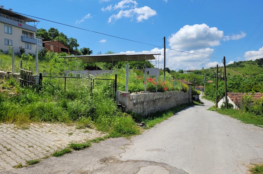 CENTURY 21 BAL'DAN ALTIEYLÜL BOZEN'DE SATILIK EV VE ARSASI