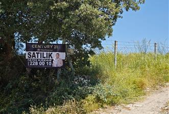 CENTURY 21 BAL'DAN SOMA MANİSADA SATILIK ZEYTİNLİK , MEYVE BAHÇESİ - 1 - 34586