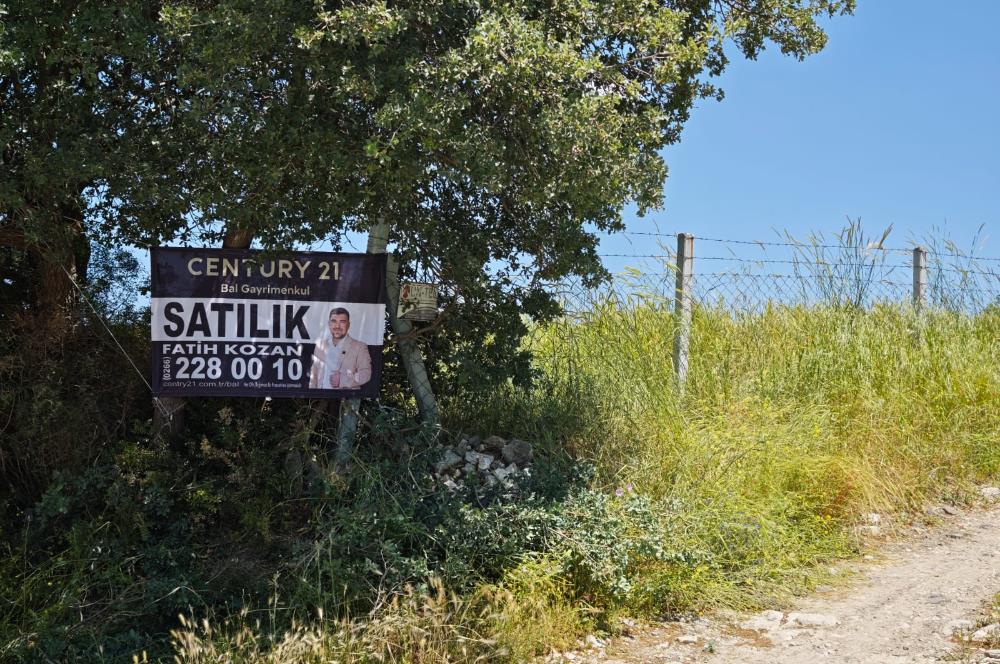 CENTURY 21 BAL'DAN SOMA MANİSADA SATILIK ZEYTİNLİK , MEYVE BAHÇESİ