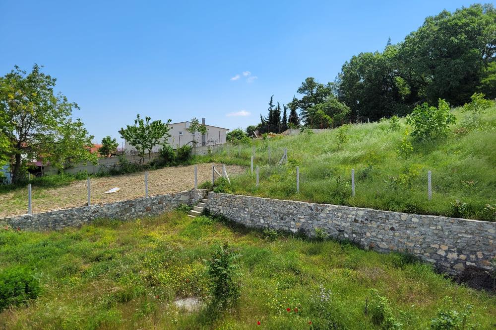 CENTURY 21 BAL'DAN ALTIEYLÜL BOZEN'DE SATILIK EV VE ARSASI