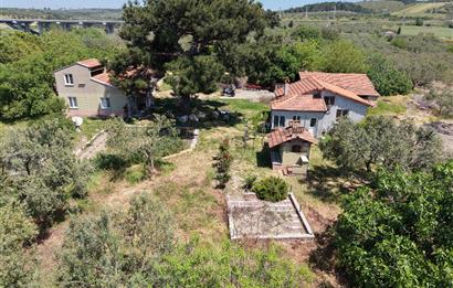 CENTURY 21 BAL'DAN SOMA MANİSADA SATILIK ZEYTİNLİK , MEYVE BAHÇESİ