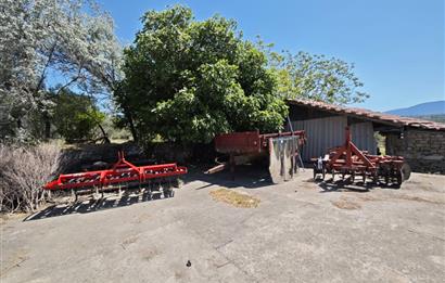 CENTURY 21 BAL'DAN SOMA MANİSADA SATILIK ZEYTİNLİK , MEYVE BAHÇESİ