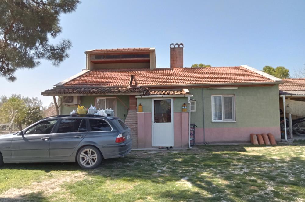 CENTURY 21 BAL'DAN SOMA MANİSADA SATILIK ZEYTİNLİK , MEYVE BAHÇESİ