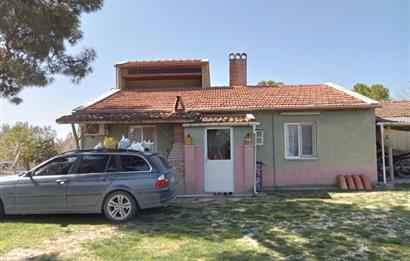 CENTURY 21 BAL'DAN SOMA MANİSADA SATILIK ZEYTİNLİK , MEYVE BAHÇESİ