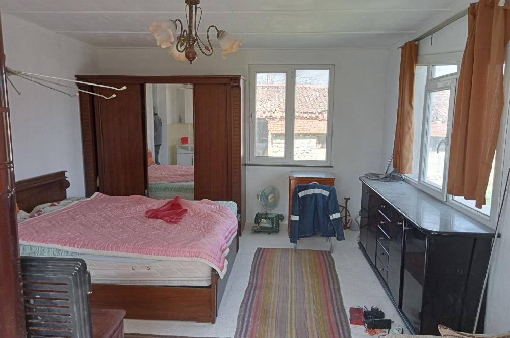 CENTURY 21 BAL'DAN SOMA MANİSADA SATILIK ZEYTİNLİK , MEYVE BAHÇESİ