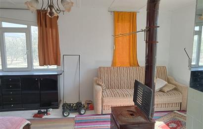 CENTURY 21 BAL'DAN SOMA MANİSADA SATILIK ZEYTİNLİK , MEYVE BAHÇESİ
