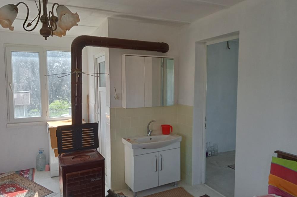 CENTURY 21 BAL'DAN SOMA MANİSADA SATILIK ZEYTİNLİK , MEYVE BAHÇESİ