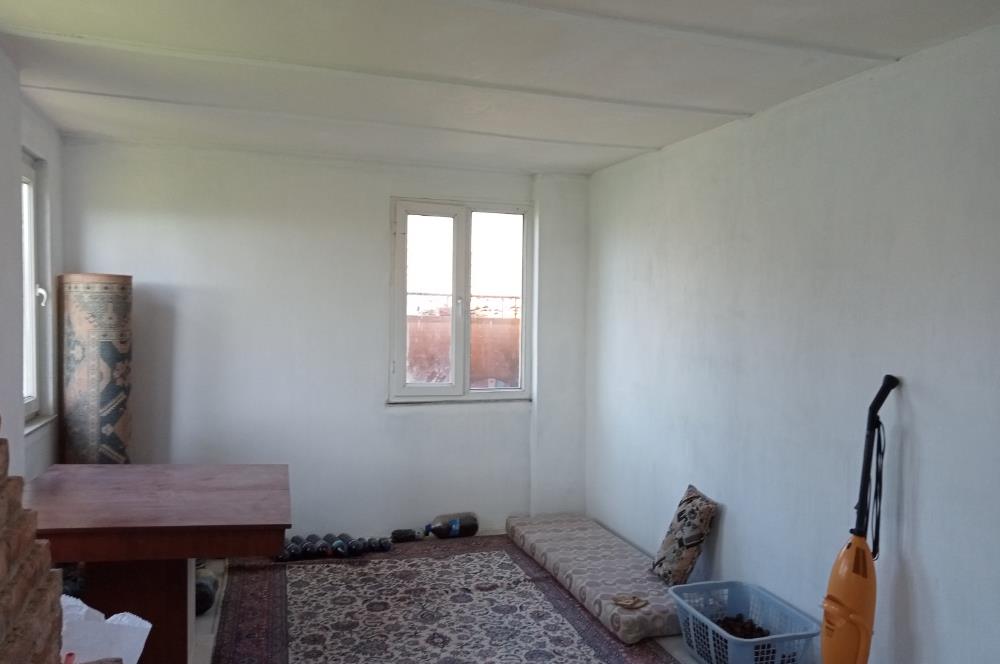 CENTURY 21 BAL'DAN SOMA MANİSADA SATILIK ZEYTİNLİK , MEYVE BAHÇESİ