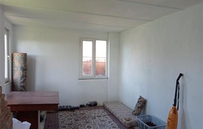 CENTURY 21 BAL'DAN SOMA MANİSADA SATILIK ZEYTİNLİK , MEYVE BAHÇESİ