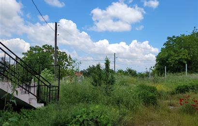 CENTURY 21 BAL'DAN ALTIEYLÜL BOZEN'DE SATILIK EV VE ARSASI