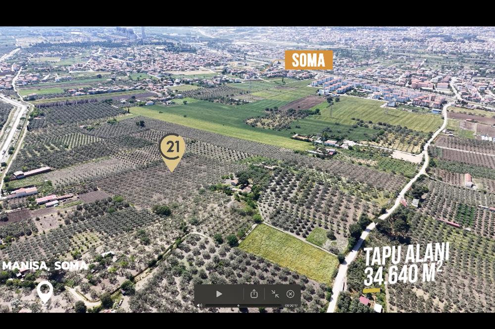 CENTURY 21 BAL'DAN SOMA MANİSADA SATILIK ZEYTİNLİK , MEYVE BAHÇESİ