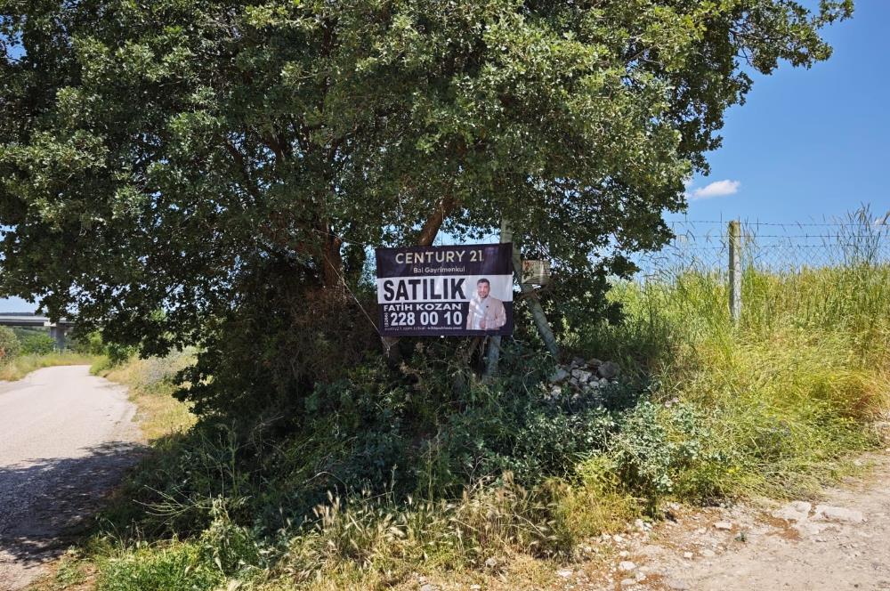 CENTURY 21 BAL'DAN SOMA MANİSADA SATILIK ZEYTİNLİK , MEYVE BAHÇESİ