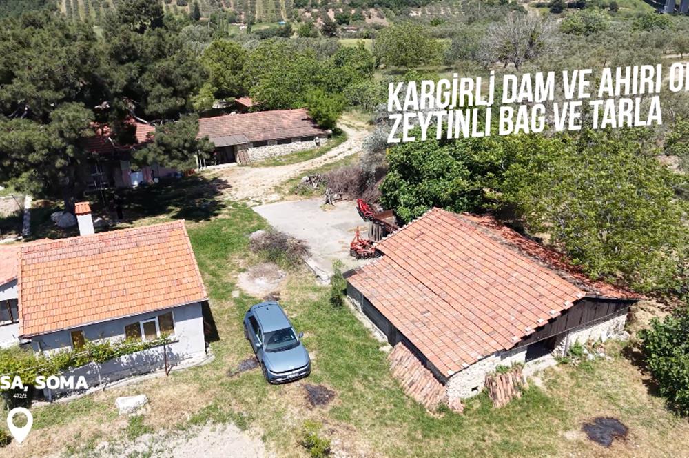 CENTURY 21 BAL'DAN SOMA MANİSADA SATILIK ZEYTİNLİK , MEYVE BAHÇESİ