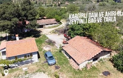 CENTURY 21 BAL'DAN SOMA MANİSADA SATILIK ZEYTİNLİK , MEYVE BAHÇESİ