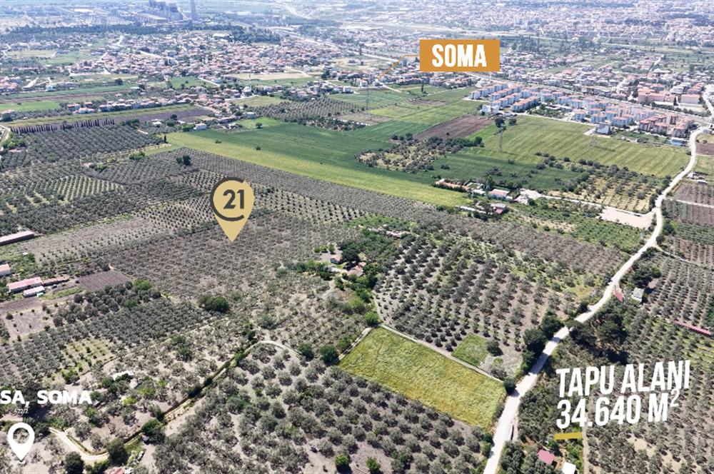 CENTURY 21 BAL'DAN SOMA MANİSADA SATILIK ZEYTİNLİK , MEYVE BAHÇESİ