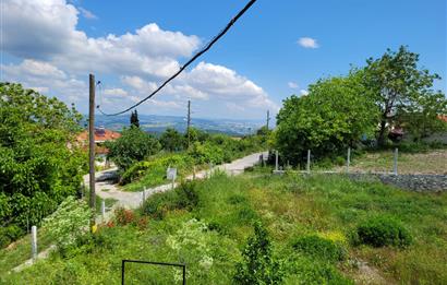 CENTURY 21 BAL'DAN ALTIEYLÜL BOZEN'DE SATILIK EV VE ARSASI