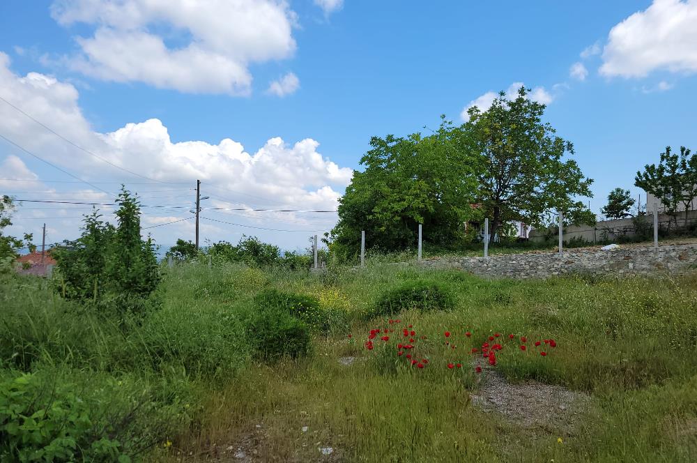 CENTURY 21 BAL'DAN ALTIEYLÜL BOZEN'DE SATILIK EV VE ARSASI