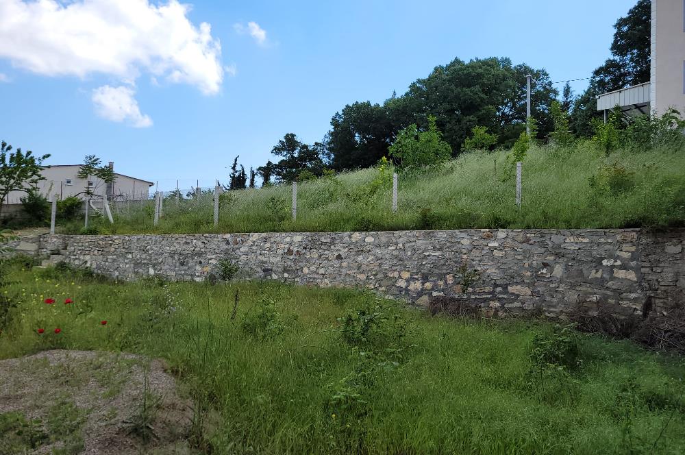 CENTURY 21 BAL'DAN ALTIEYLÜL BOZEN'DE SATILIK EV VE ARSASI