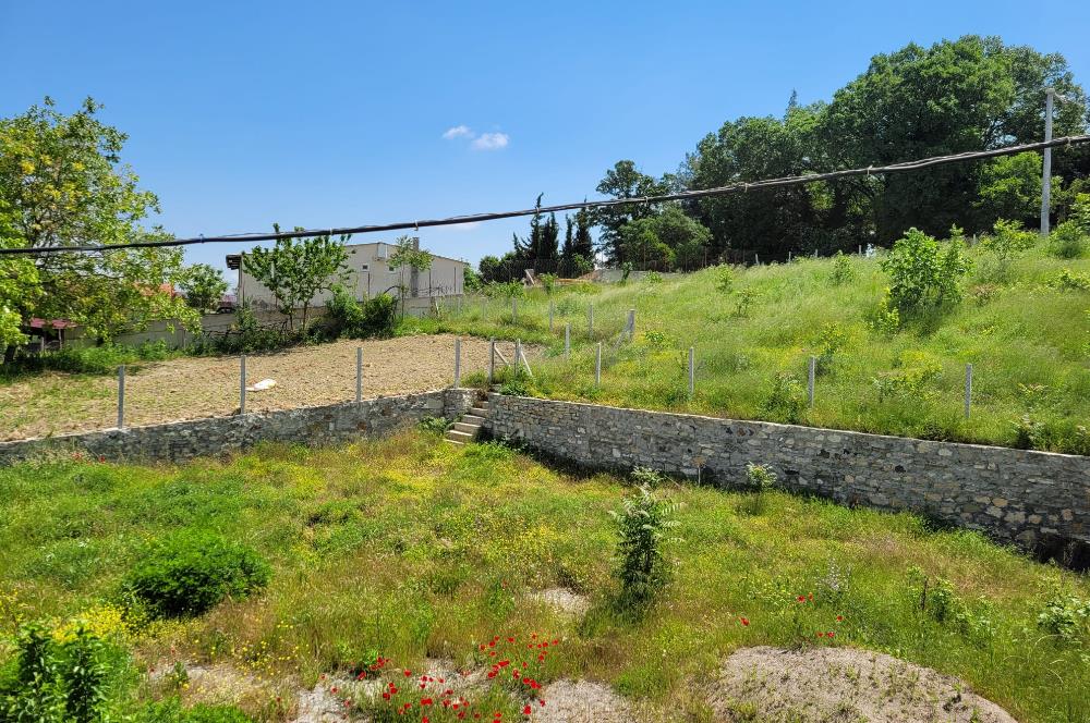 CENTURY 21 BAL'DAN ALTIEYLÜL BOZEN'DE SATILIK EV VE ARSASI