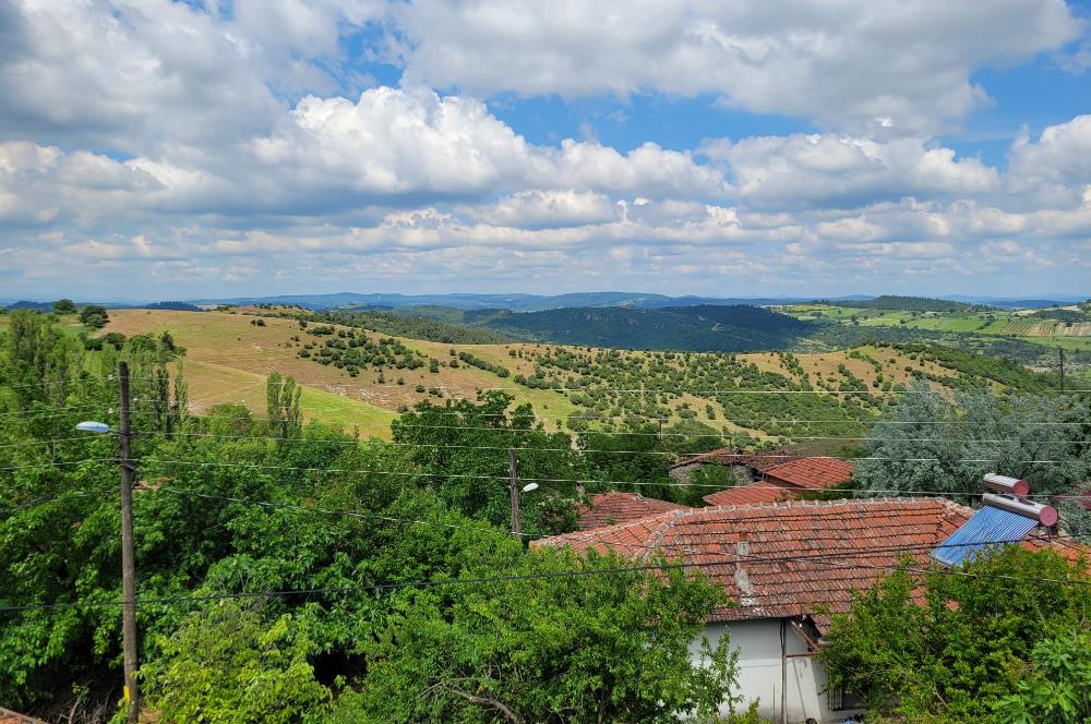 CENTURY 21 BAL'DAN ALTIEYLÜL BOZEN'DE SATILIK EV VE ARSASI