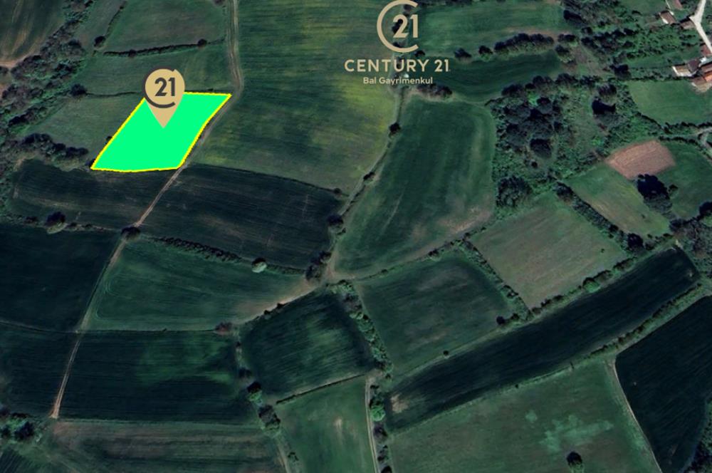 C21 BAL'dan KARESİ KURTDERE MAHALLESİNDE SATILIK TARLA