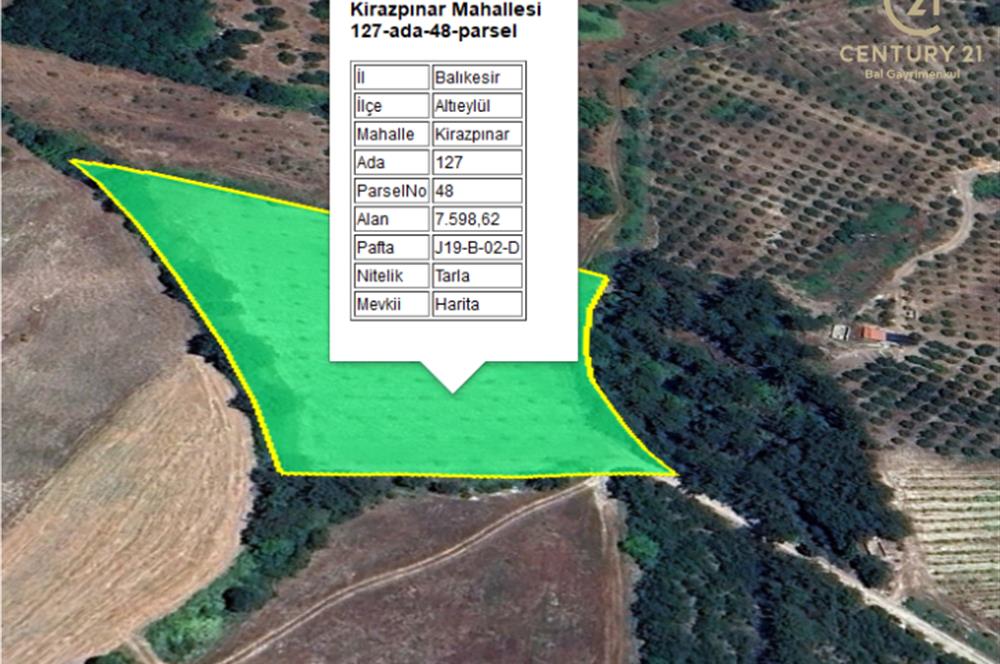 C21 BAL'dan ALTIEYLÜL KİRAZPINAR KÖYÜNDE SATILIK TARLA