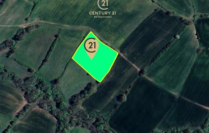 C21 BAL'dan KARESİ KURTDERE MAHALLESİNDE SATILIK TARLA