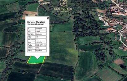 C21 BAL'dan KARESİ KURTDERE MAHALLESİNDE SATILIK TARLA