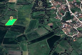 C21 BAL'dan KARESİ KURTDERE MAHALLESİNDE SATILIK TARLA - 11 - 34622