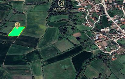 C21 BAL'dan KARESİ KURTDERE MAHALLESİNDE SATILIK TARLA