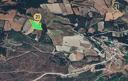 C21 BAL'dan ALTIEYLÜL KİRAZPINAR KÖYÜNDE SATILIK TARLA