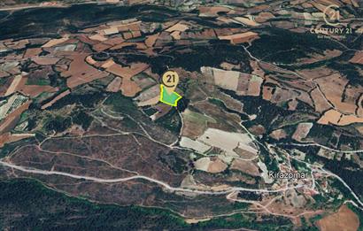 C21 BAL'dan ALTIEYLÜL KİRAZPINAR KÖYÜNDE SATILIK TARLA