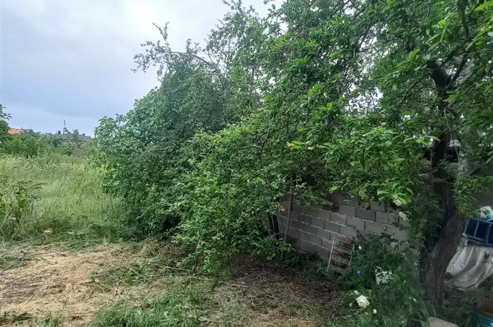 C.21LOCA'DAN SUSURLUK BABAKÖYDE MÜKEMMEL BAHÇELİ KÖY EVİ
