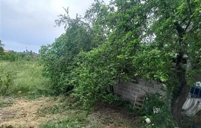 C.21LOCA'DAN SUSURLUK BABAKÖYDE MÜKEMMEL BAHÇELİ KÖY EVİ