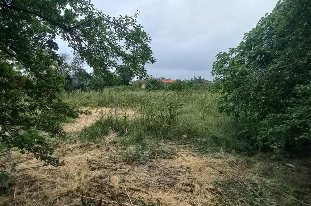 C.21LOCA'DAN SUSURLUK BABAKÖYDE MÜKEMMEL BAHÇELİ KÖY EVİ