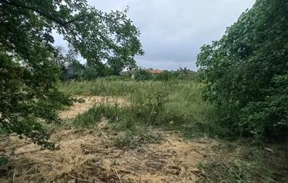 C.21LOCA'DAN SUSURLUK BABAKÖYDE MÜKEMMEL BAHÇELİ KÖY EVİ