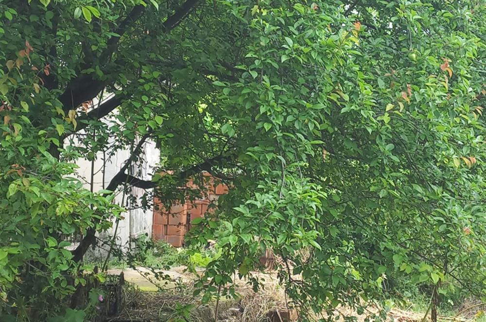 C.21LOCA'DAN SUSURLUK BABAKÖYDE MÜKEMMEL BAHÇELİ KÖY EVİ